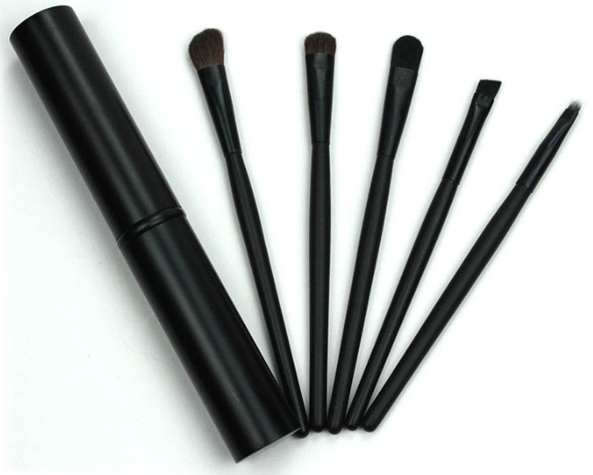 Portable Makeup Brush Set with 5 Eye Brushes
