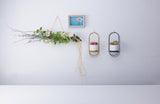 Ceramic Succulent Planter Set with Iron Stand