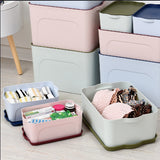 Plastic Storage Box and Organizer Cabinet