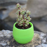 Mini Colorful PP Succulent Planter - Simple Design
