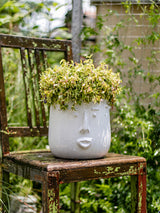 Handcrafted Ceramic Face Vase and Planter