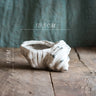 Ceramic Seashell Planter for Garden Decoration