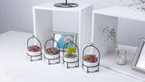 Rotating Carousel Ceramic Succulent Planter Set