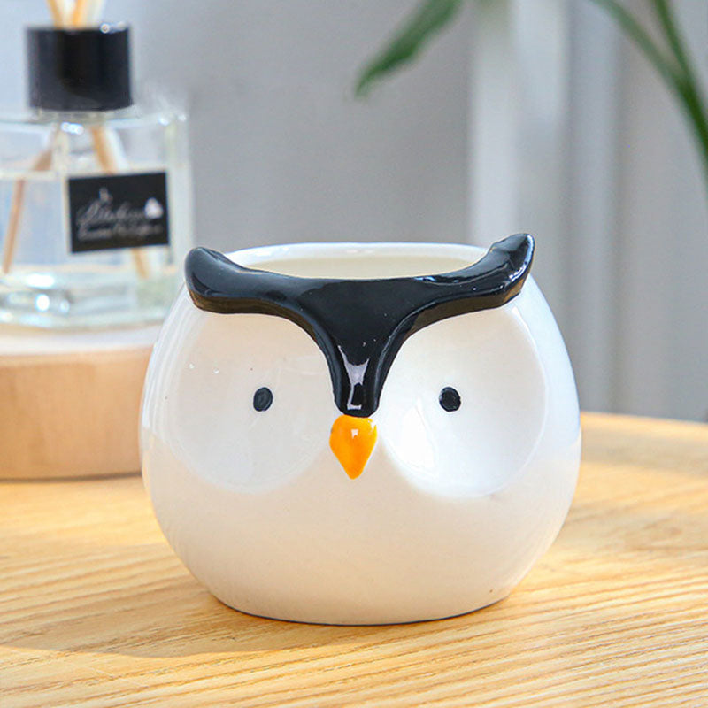 Creative Cartoon Animal Succulent Planter Set (Owl)
