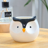 Creative Cartoon Animal Succulent Planter Set (Owl)