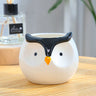 Creative Cartoon Animal Succulent Planter Set (Owl)