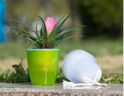 Self-Watering Planter for Green Plants and Succulents