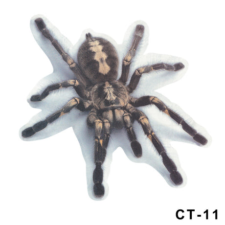 3D Spider Gecko Car Sticker for Realistic Customization
