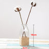 Creative Glass Vase for Home Decor with Plants