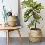 Foldable Natural Sea Grass Storage Basket for Home