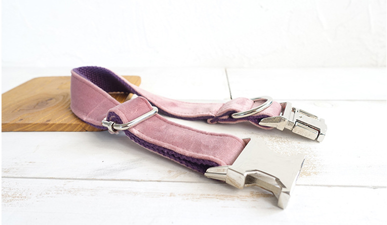 Adjustable Pet Dog Collar