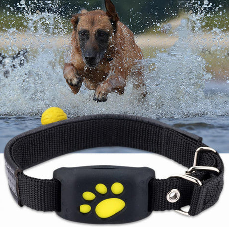 Pet GPS Tracker Collar - Atlantic Shopping Mall