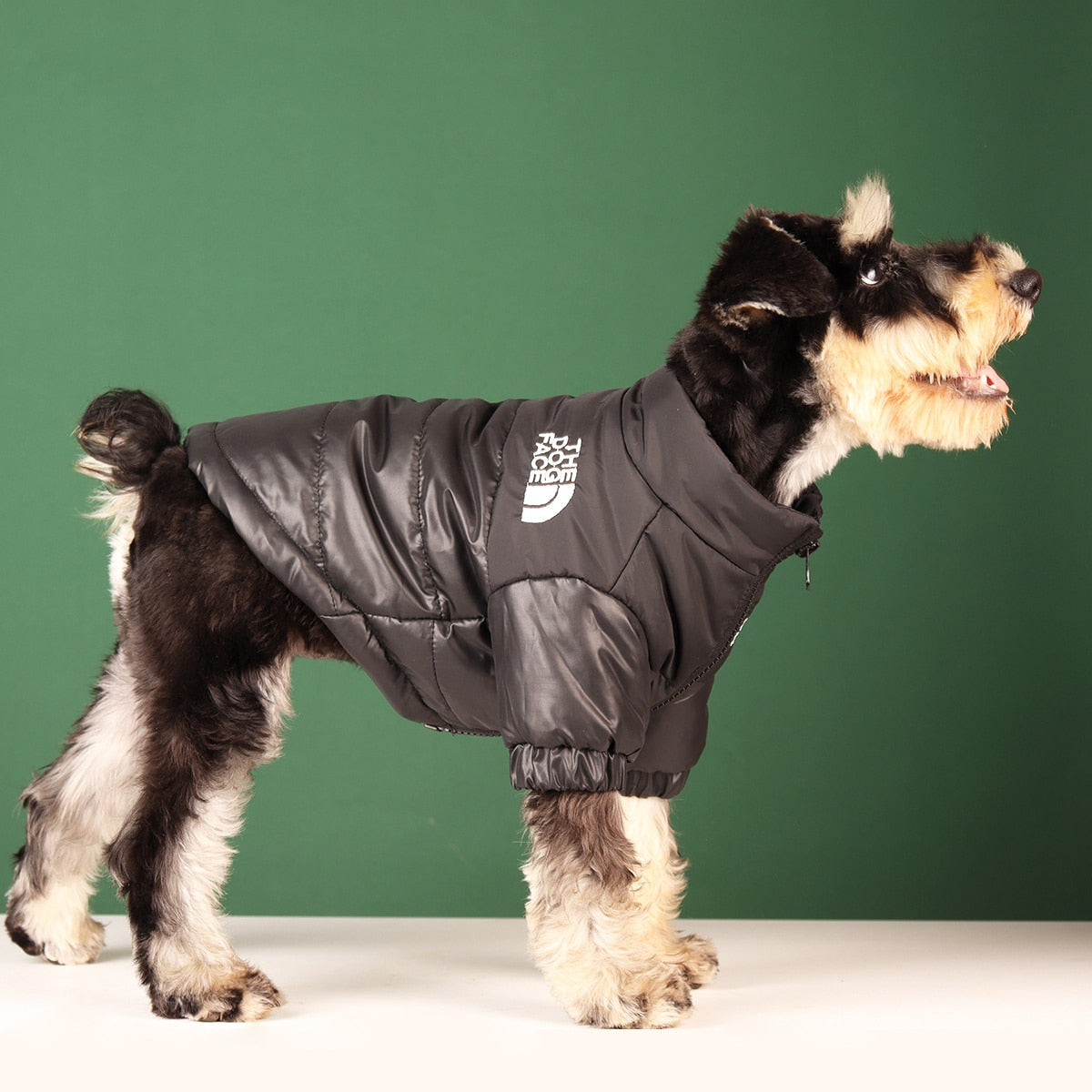 Windproof Reflective Dog Jacket - Atlantic Shopping Mall