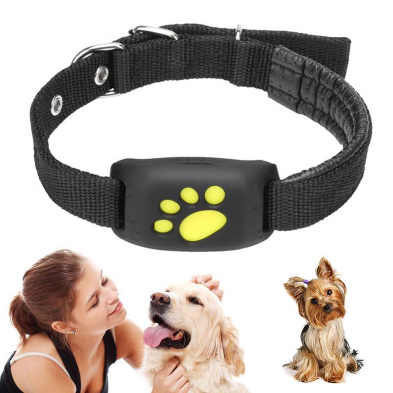 Pet GPS Tracker Collar - Atlantic Shopping Mall