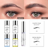 Kit de stratification et de teinture des sourcils