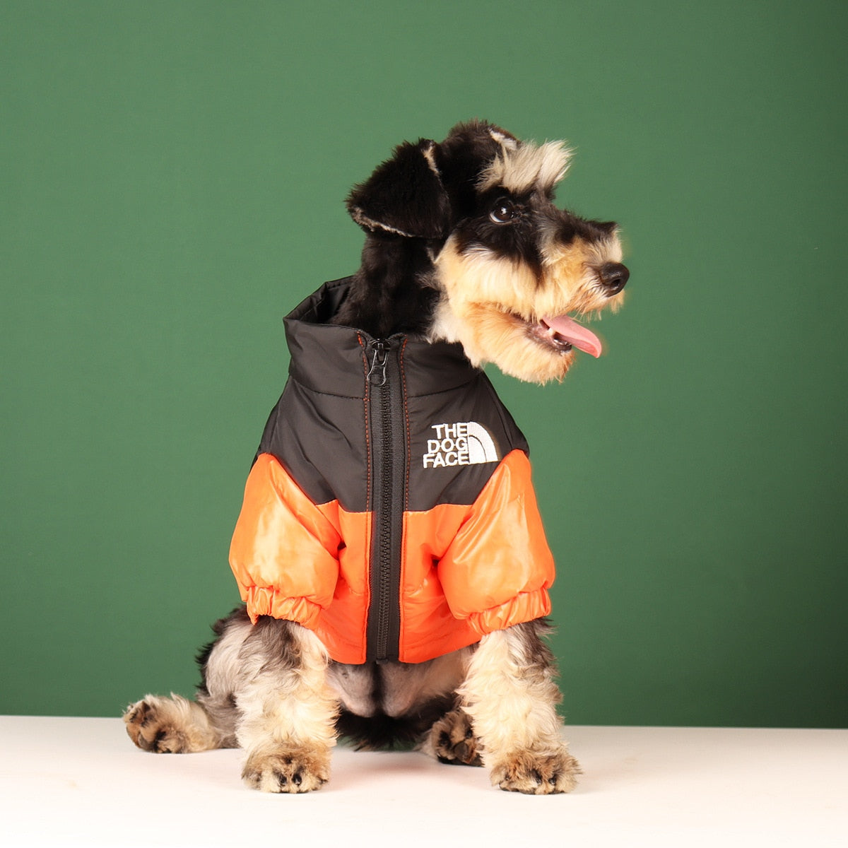 Windproof Reflective Dog Jacket - Atlantic Shopping Mall